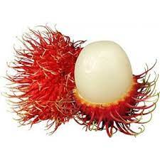 Rambutan Thumb