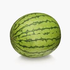 Water melon image